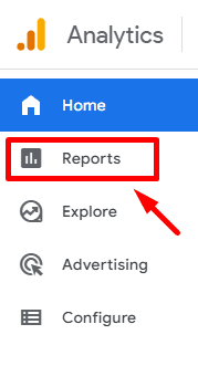 Reports section