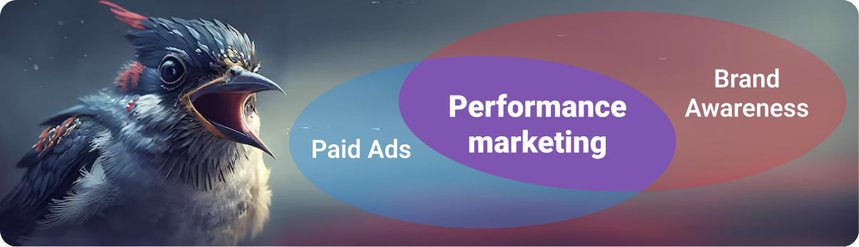 Meaning of Performance Marketing