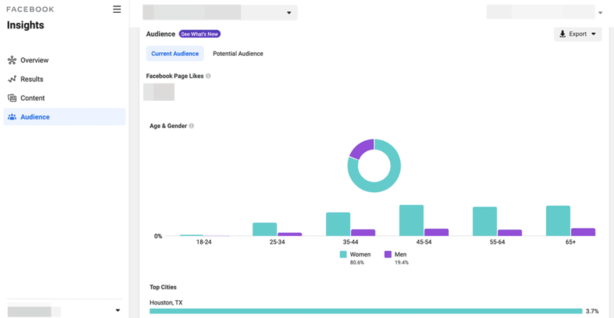 Facebook Ads Audience Insights Report